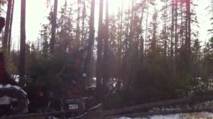 Слэшер-мульчер Iron Wolf700.mp4