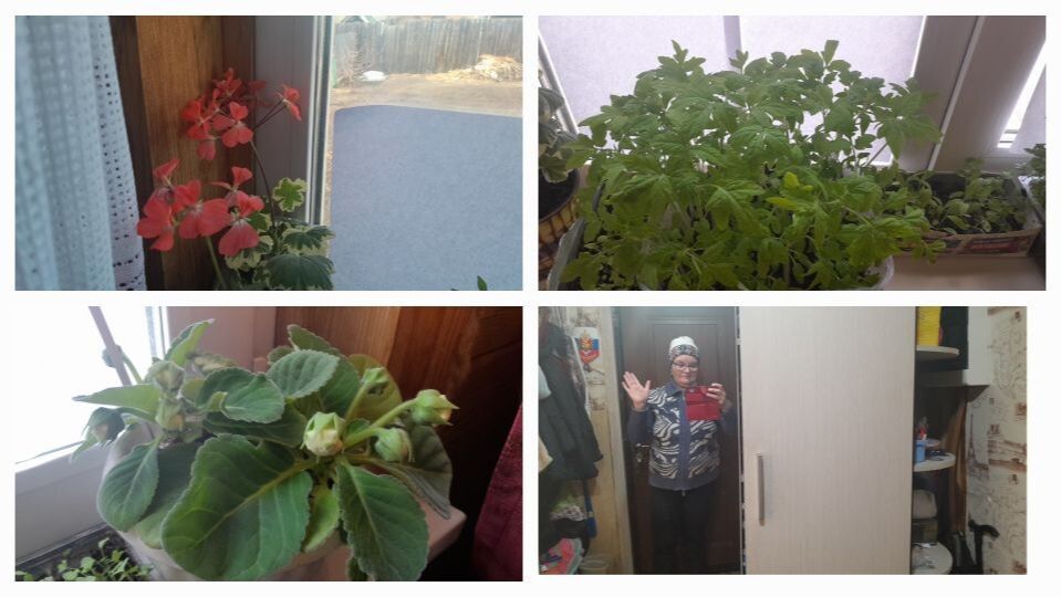 Мой Загородный дом в Сибири 15.04.2026/Готовлю вкусный домашний обед/Пикирую перцы и баклажаны. #рек