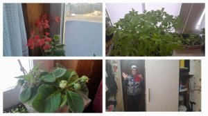 Мой Загородный дом в Сибири 15.04.2026/Готовлю вкусный домашний обед/Пикирую перцы и баклажаны. #рек