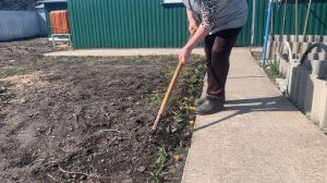 Мои цветы цветут. Какая красота.