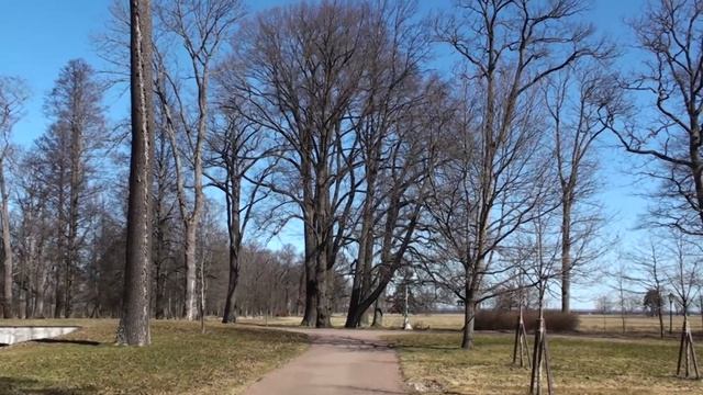 Парк Александрия Петергоф 2026 г.