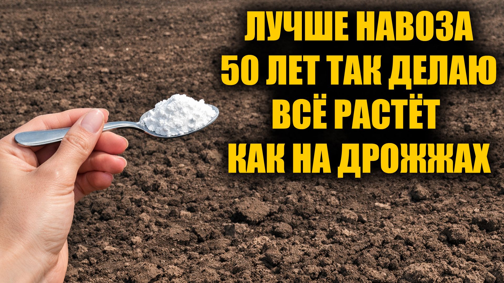 Добавила это и земля плодородная на долгие годы! Пролейте этим землю для обильного урожая!