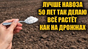 Добавила это и земля плодородная на долгие годы! Пролейте этим землю для обильного урожая!