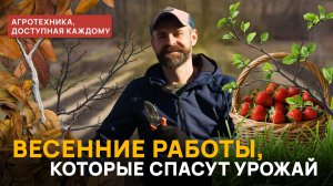 ВЕСЕННИЕ РАБОТЫ В САДУ И ОГОРОДЕ: что обязательно сделать в апреле?