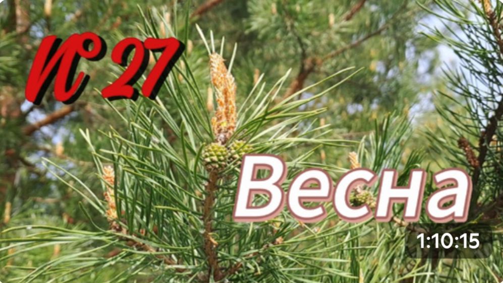 N°27 ВПЕРВЫЕ ЗАНИМАЕМСЯ ПЛАНИРОВКОЙ ОГОРОДА || СТРОИМ ТЕПЛУШКИ || ЖИЗНЬ В ДЕРЕВНЕ