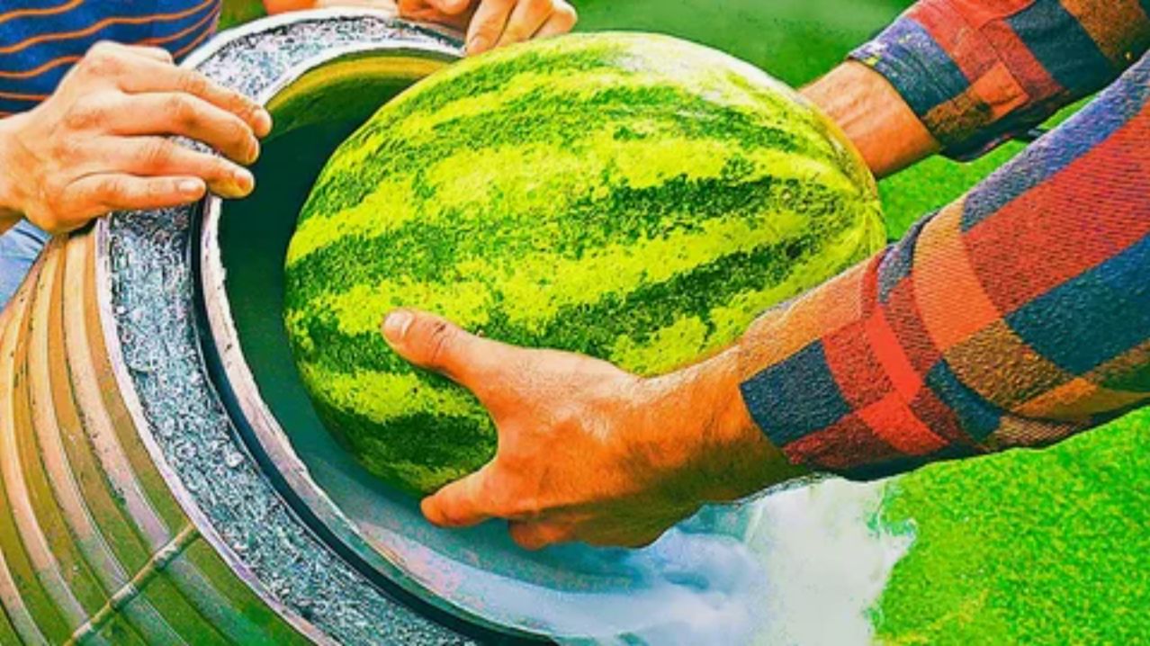 КАК СОХРАНИТЬ АРБУЗ К НОВОМУ ГОДУ - 100% СПОСОБ!