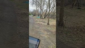 3) г Балашиха, мкр. Саввино, ул Гастелло, осмотр 16.04.2026