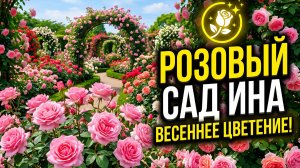 Путешествие в Розовый сад Ина: вдохновение из самого сердца Японии! 🌹🇯🇵