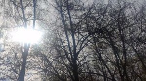 16 апреля магический солнечный 🌞 прогноз погоды от волшебника местами дождь ☔