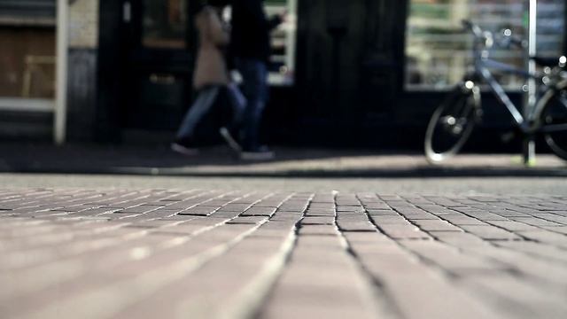 СТЕКЛЯННЫЕ ДЖУНГЛИ