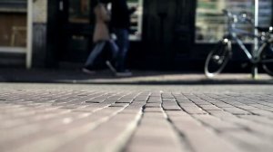 СТЕКЛЯННЫЕ ДЖУНГЛИ