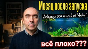 Месяц После Запуска Аквариума — что Изменилось? Так ли Всё Плохо?
