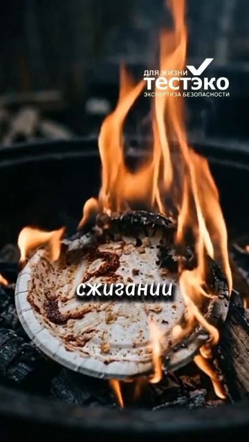 Одноразовая посуда — не только пластик