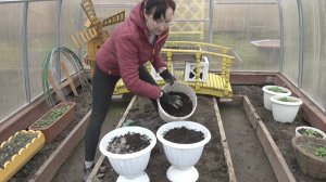 6 соток 14 апреля 2026 года. Хроника.