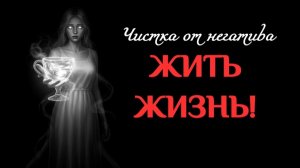 ЖИТЬ ЖИЗНЬ! ЧИСТКА КОМБИНИРОВАННАЯ (СВИНЕЦ И ВОСК)