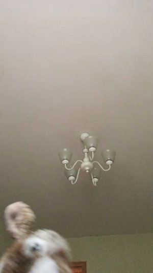 даш дай карандаш начало