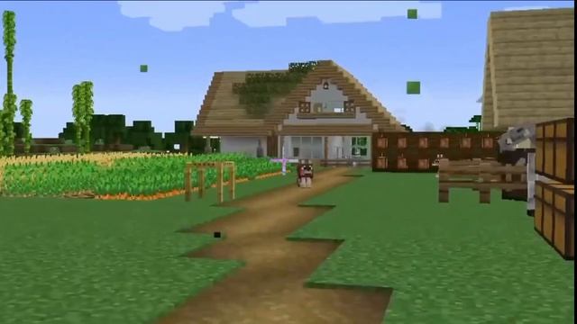 мои смешные моменты