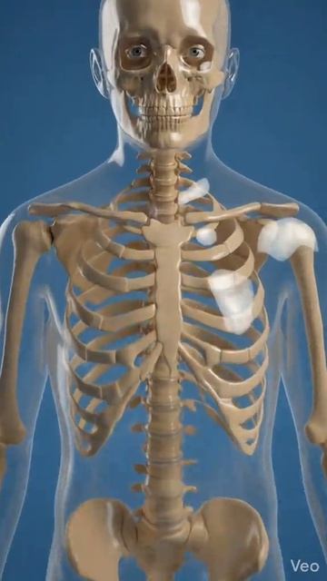 ПОДПИШИСЬ! ии sora ai чтоесли познавательно