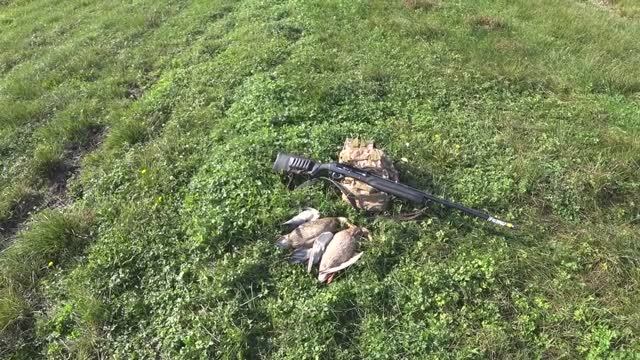 ОХОТА НА УТКУ