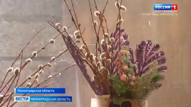 РОССИЯ 1 показал китайскую Базу отдыха Хэйлун в Новое Токсово