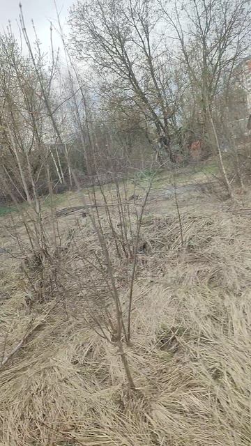 2) г Балашиха, мкр. Саввино, ул Гастелло, осмотр 16.04.2026