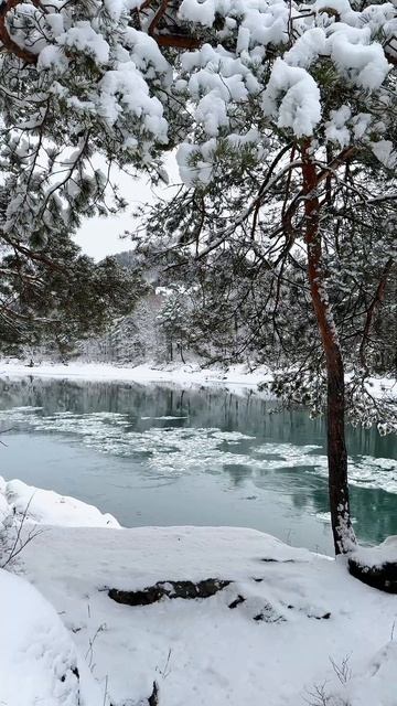 Бирюзовая Катунь зимой. Республика Алтай #туры #природа #алтай #катунь #зима