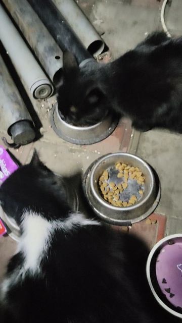 Надежда только на помощь волшебников! 