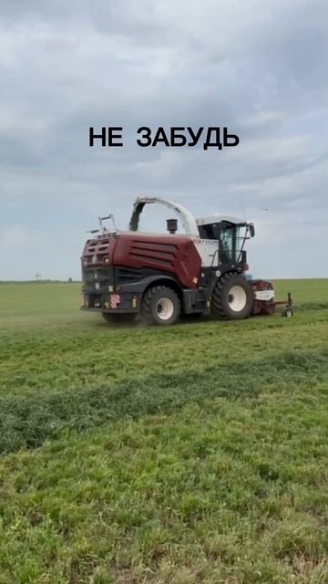 Биоконсерванты Silo Twice и Silo Rye - незаменимые помощники в консервировании сенажа и силоса