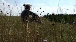 Антиреспект - Тишины хочу