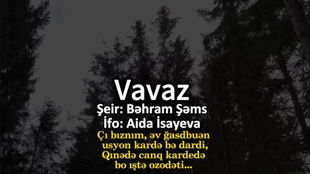 Aida İsayeva - Vavaz