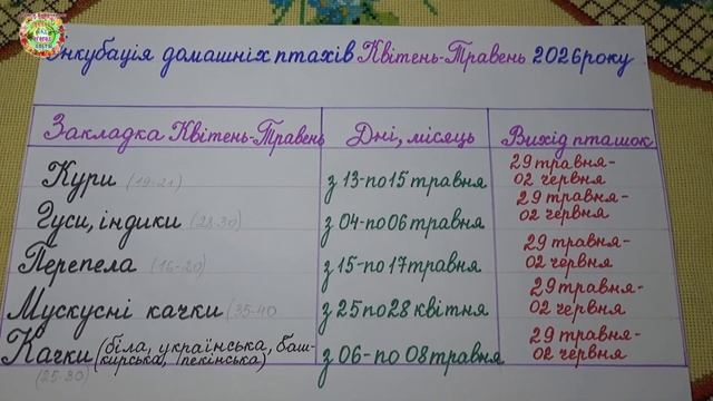 Апрель-Май 2026: Когда Заложить на Инкубацию Яйца Домашней Птицы?!