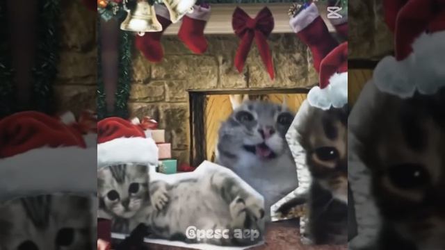 Merry Christmas 676767