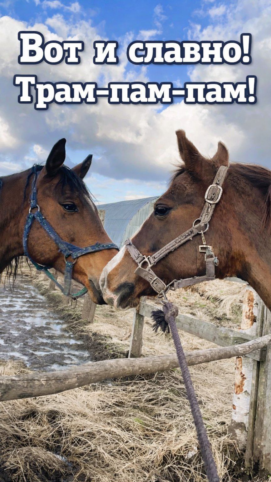 Белочке не до еды!  Ей так охота жениться!