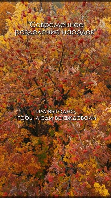 Современное разделение народов