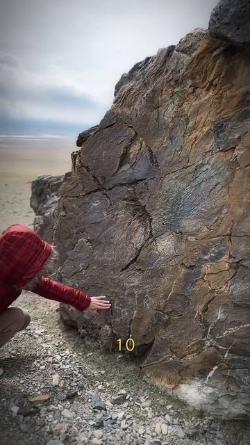 #турыонлайн #travel #алтай #тревелвлог #горныйалтай #природа #nature #природныепейзажи #mountains