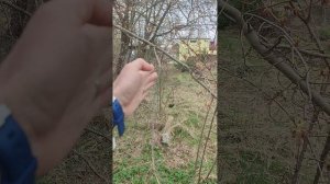 4) г Балашиха, мкр. Саввино, ул Гастелло, осмотр 16.04.2026