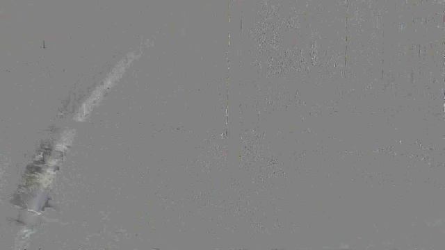 А у нас уже тюльпаны а у вас? 16.04.26.