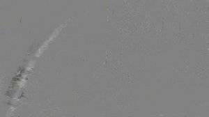 А у нас уже тюльпаны, а у вас? 16.04.26.