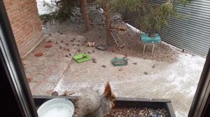 четверг в вольном зоопарке