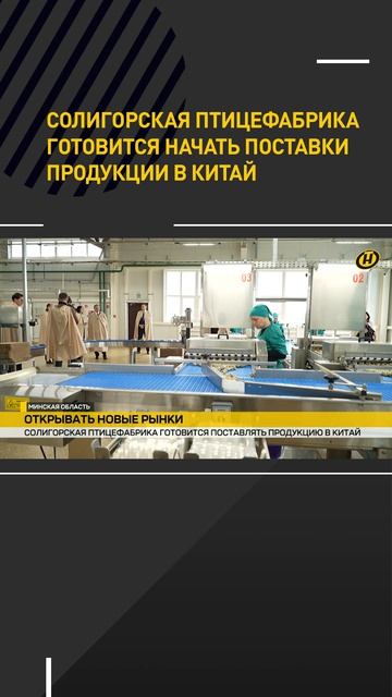 Солигорская птицефабрика готовится начать поставки продукции в Китай