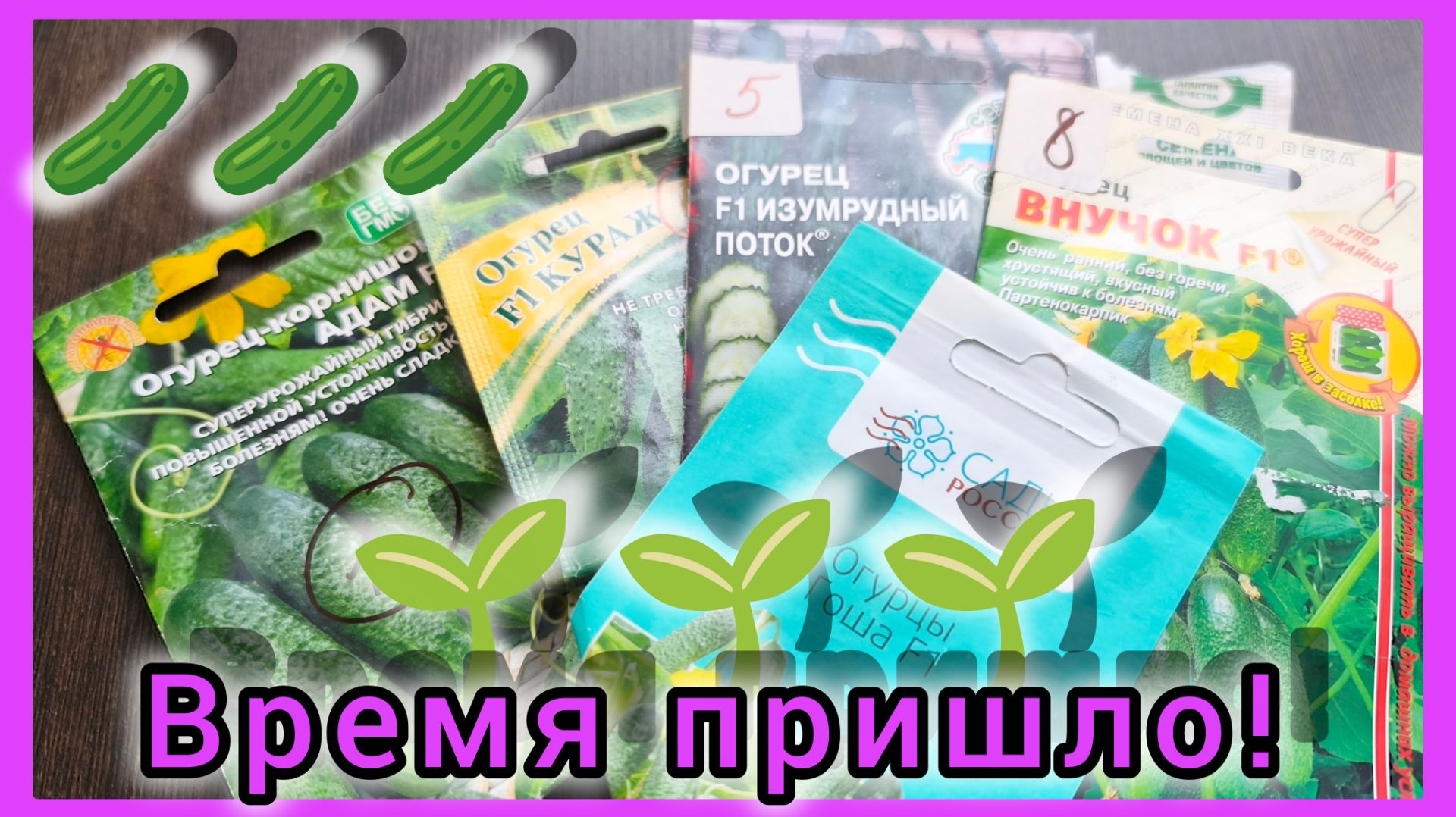 Семена огурцов 🥒🥒🥒