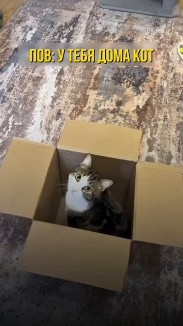 Клип @men_mne_eto_nravitsa