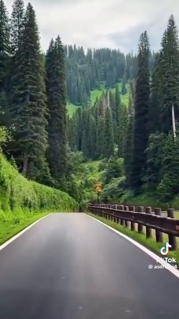 Всю жизнь чего-то не хватает