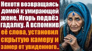 Слушать аудиокнигу. Житейские истории. Нехотя возвращаясь домой к угасающей жене, Игорь подвёз гада