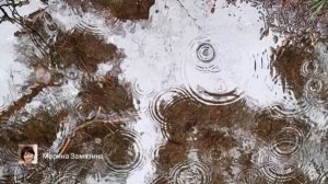 Экотерапия 81 серия.