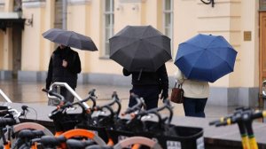 Синоптики спрогнозировали дождь и до +16 градусов в Москве 16 апреля