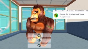 11 подписчиков 🥳🥳🥳🥳