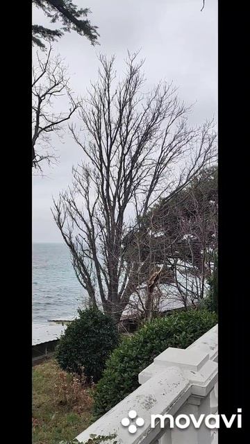 Симеиз. Нарышкинские камни. Лига морская