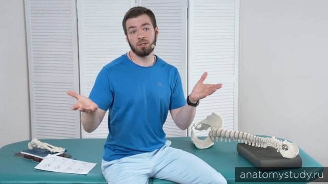 История сколиоза: откуда берётся искривление и почему это важно знать тренеру