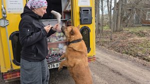 Переменчивая погода, у автолавки и нежданный гость